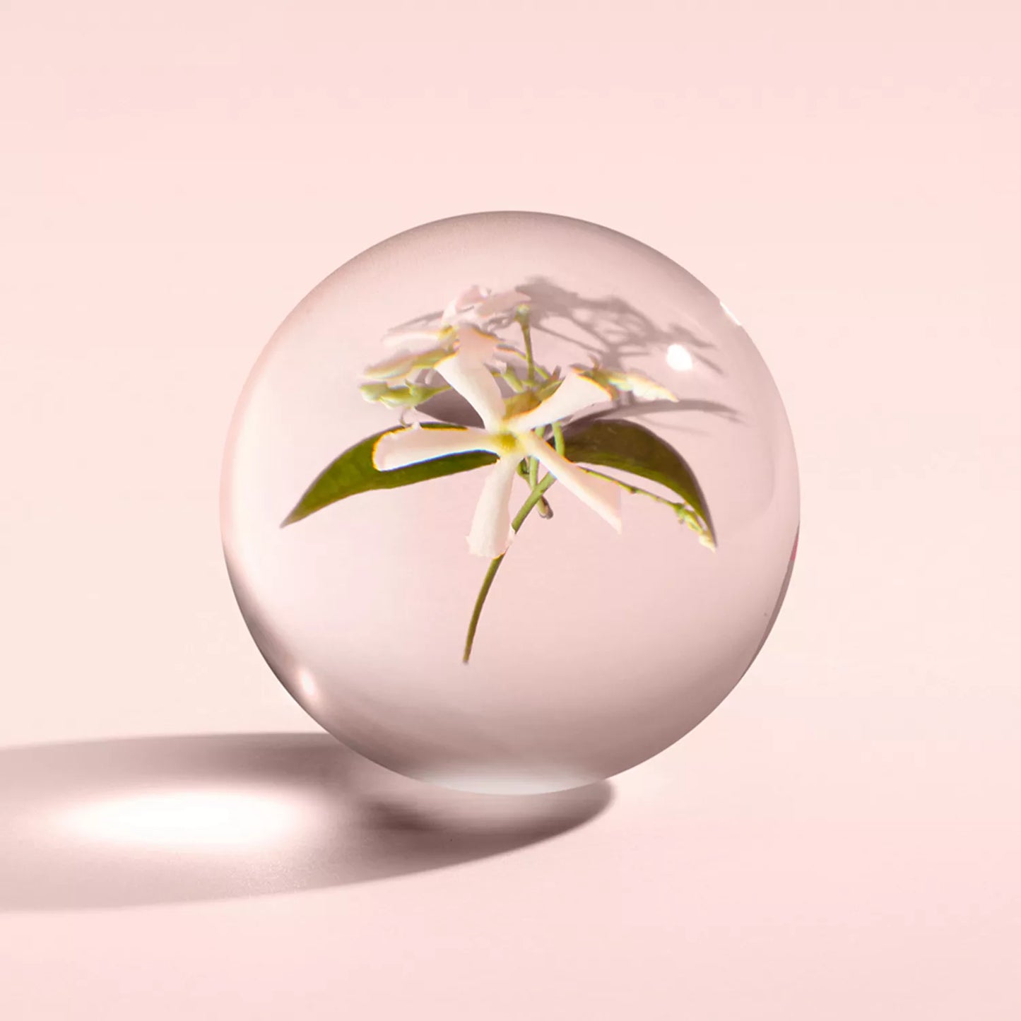 Jasmine & Sun Rose Bath & Shower Gel