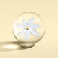 Flora Luminaire Hand Wash