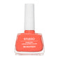 Neo Studio Rapid Dry Longlasting Color No 2